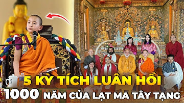 Phật Sống Tây Tạng Luân Hồi: Cậu Bé Bật Khóc Trước Pháp Tượng Của Chính Mình
