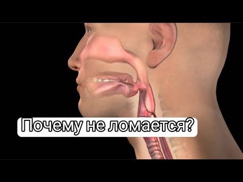 ПОЧЕМУ ТВОЙ ГОЛОС НЕ ЛОМАЕТСЯ?