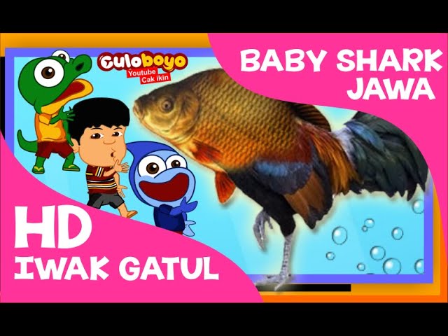 Baby Shark | Iwak Gatul | Cover Lagu | Versi Jawa | Animasi Lucu | Culoboyo class=