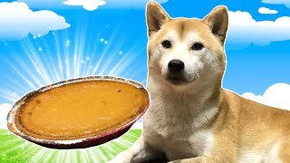 How to Make a Pumpkin Pie