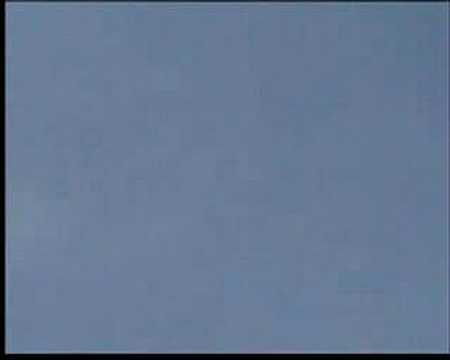 Trex 600 loops, rolls,flips and some backward flying...