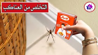 التخلص من العناكب في المنزل - افكار منزلية بسيطة لطرد العنكبوت (الرتيلة)🕷جربها بنفسك