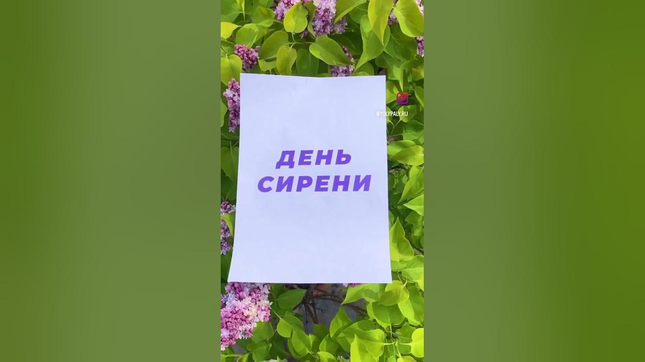 18 мая день сирени в питомнике "ЁЛЫ ПАЛЫ" - YouTube