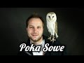 POKA SOWE - 10 CIEKAWOSTEK O SOWIE