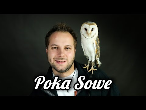 Wideo: Jak uzyskać pozwolenie rodzicielskie na hodowanie zwierząt (dla nastolatków)