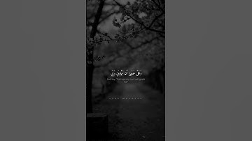 وَلَا تَقُولَنَّ لِشَيْءٍ إِنِّي فَاعِلٌ ذَٰلِكَ | محمد صديق المنشاوي | سورة الكهف