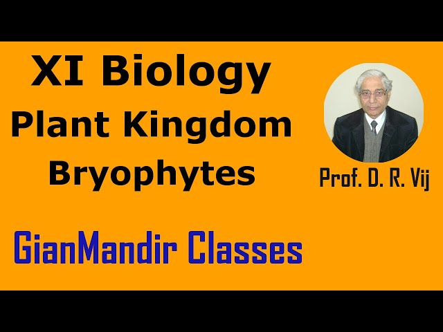 XI Biology | Plant Kingdom | Bryophytes by Taranjeet Sir