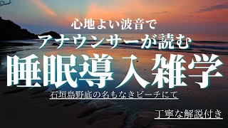 【睡眠導入用】75分雑学(解説付き)【雑学】波の音と共にゆったりお休みください