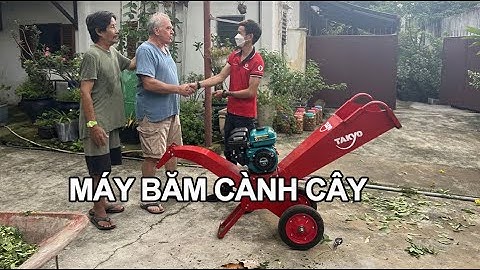 Máy băm cành cây làm phân bón tại vườn tiêu, video băm cây vông gòn