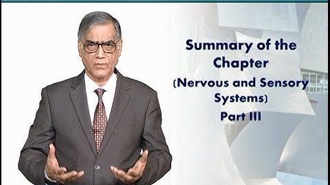 Summary: Nervous and Sensory Systems - Part 3 | Animal Form & Function 1 (Theory) | ZOO516T_Topic099