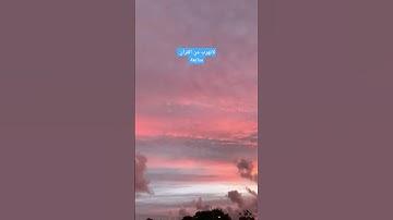 #قرآن_كريم #راحة_نفسية #flyp #اجر_لي_ولك #اسلام_صبحي #committonothing #قرآن #fly #e4n #تلاوة_هادئة