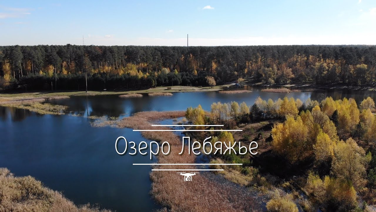 На переднем плане рогоз... - Озеро Лебяжье у Дубны - Landscapes and habitats - P