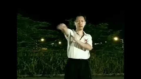 Master Wan Ji-san 尹志新 – Choi Lei Fat 蔡李佛 Basic Techniques 基本手法