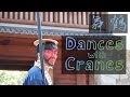 Danceswithcranes trailer