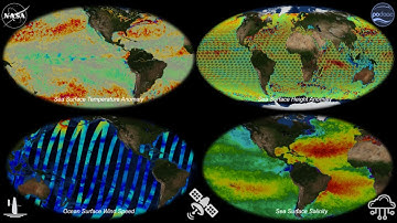 The PO.DAAC:  An Open Source of Remote Sensing and In Situ Data for Science in the Cloud