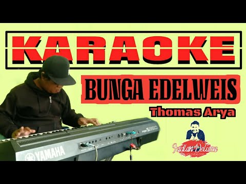  Bunga  Edelweis  KARAOKE Thomas  Arya  Video Lirik YouTube