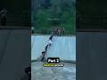 1 Jam Terjebak di Sungai Deras | Anjing Ini Hampir Kehilangan Nyawa‼️Part2 |#shorts #trending