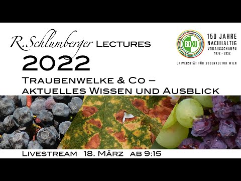 R.Schlumberger Lectures 2022