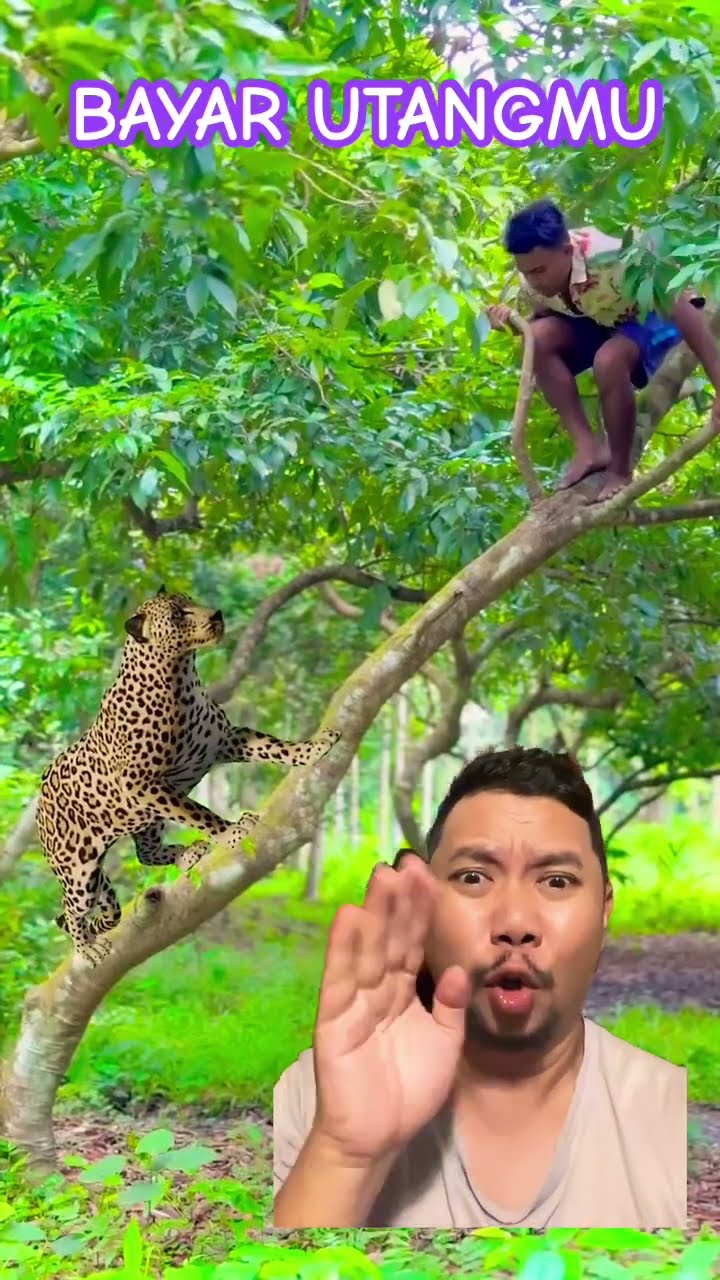 MACAN NAGIH HUTANG!!?? #animals #vfx #wildlife #funny #comedy