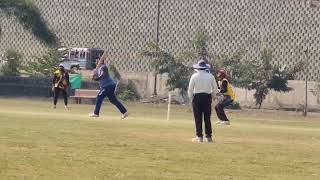 Well Caught,  DCL 2024 #cricket #knockoutcricket #trending screenshot 5