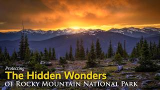 I Almost Quit Photography Because of This