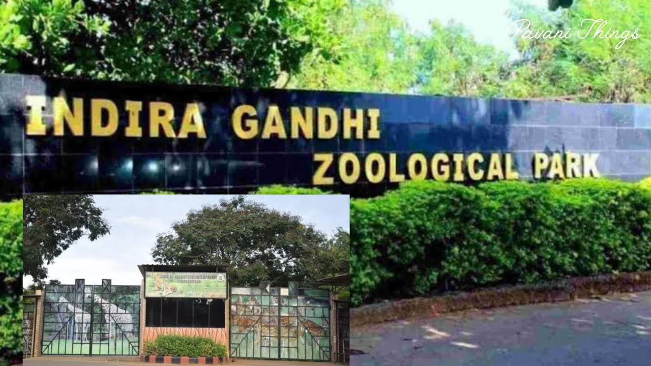 Vizag Zoo Park Indira Gandhi Zoological Park Visakhapatnam zoo vizag-zoo-park-indira-gandhi-zoological-park-visakhapatnam-zoo