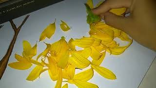 vidio pembelajaran karya seni, mozaik,kolase,dan Montase