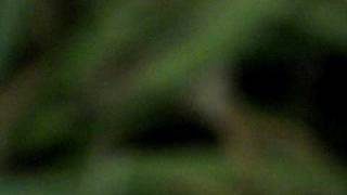IMGP1671