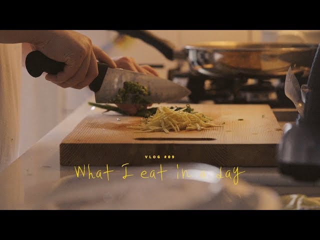 VLOG 09 하루세끼, 샌드위치와 생선덮밥 : What I Eat in A Day, Sandwich and Fish Teriyaki Rice Bowl | Honeykki 꿀키