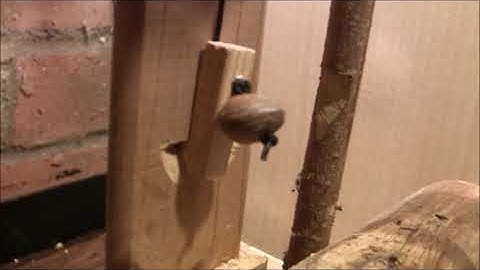 log deadfall trap trigger