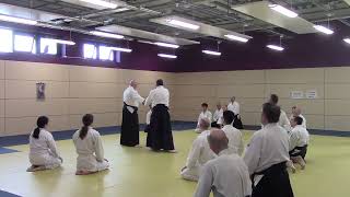 White Rose Aikikai - Durham Course 2024 - Shane Riley Shihan - Clip 11