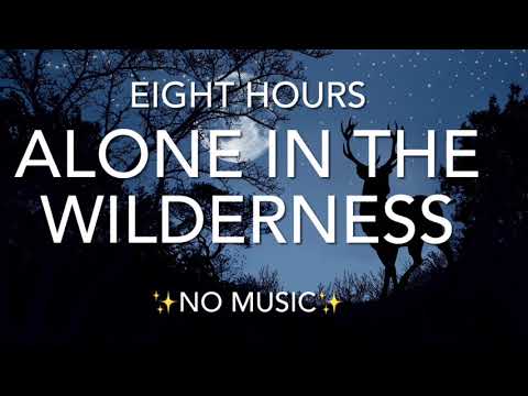 Sounds Of The Wilderness Wolf Elk Loon Call With Other Mysterious Creatures 8 Hours