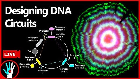 [LIVE]  Programming DNA circuits | Learn Real Genetic Engineering - Part 3