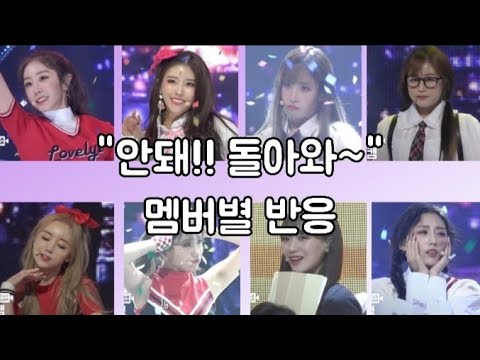 안돼!! 돌아와~~ 멤버별 반응