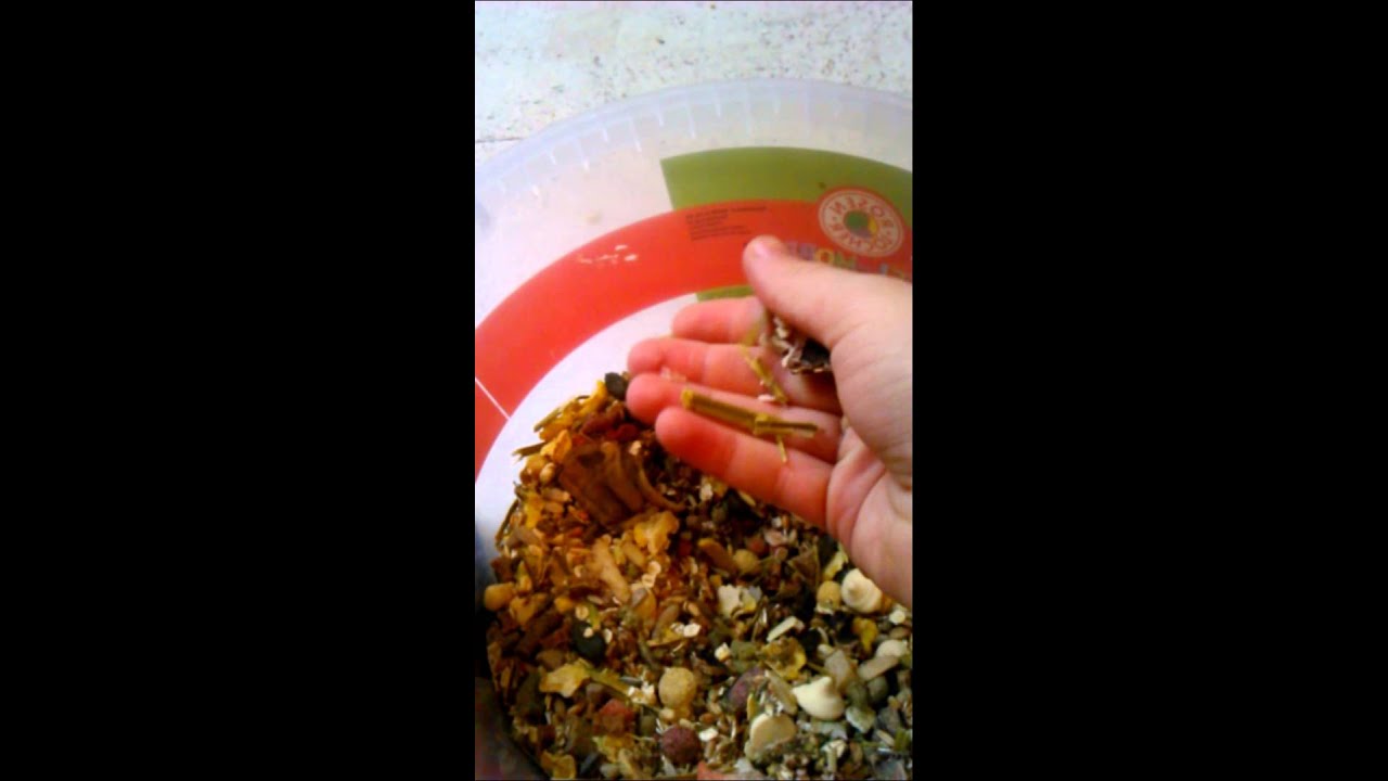 Mein selbst gemachtes Rattenfutter