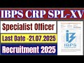 IBPS Specialist Officer Recruitment 2025. IBPS CRP SPL-XV Vacancy 2025. IBPS Latest Job 2025.