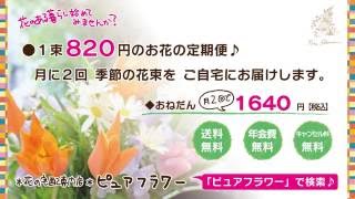 １束820円のお花の定期便・ピュアフラワー