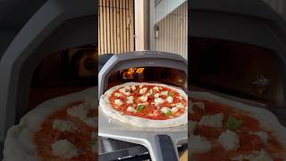The best way to test a new oven is to bake an 'nduja Margherita pizza
