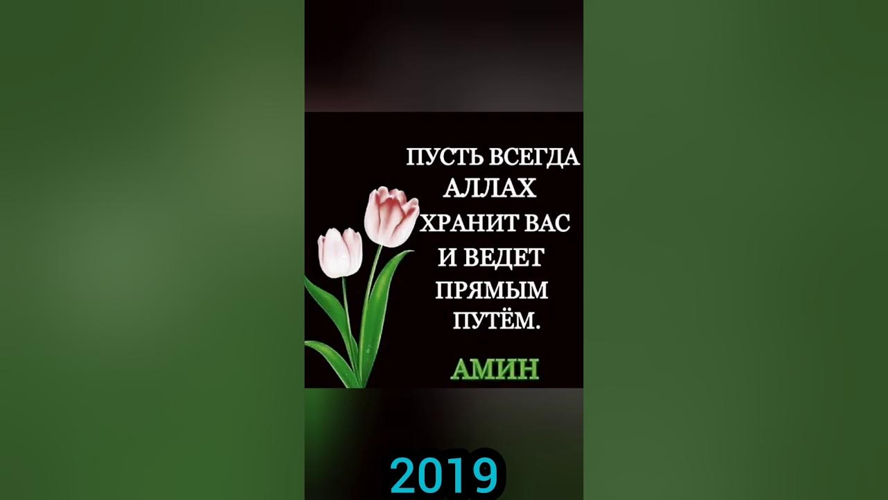 панду насихат. панди бузургон. панду хикмати зиндаги. чакидаҳо. панду насихат точики.