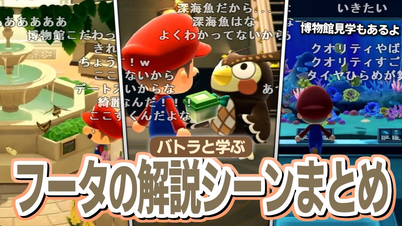 【バトラと学ぶ】結構ためになるフータの解説まとめ【あつ森】