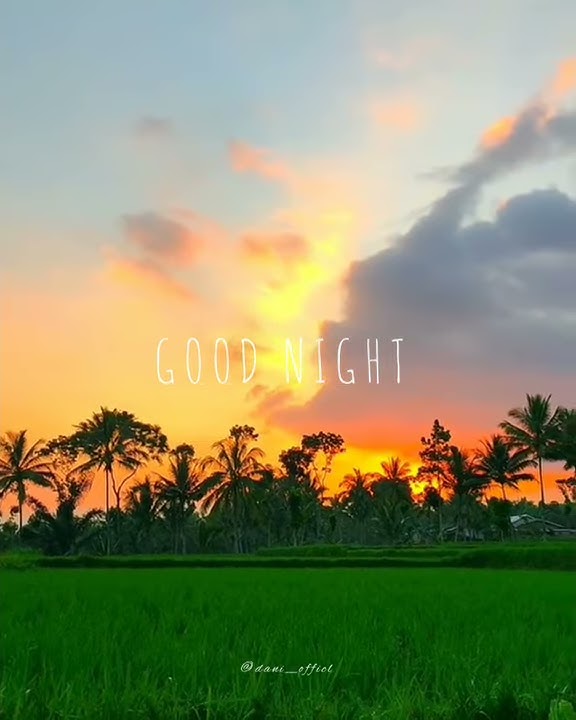 STORY WA GOOD NIGHT