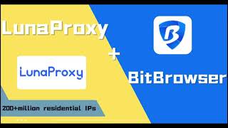BitBrowser& Lunaproxy  | tutorial | Start the journey of multi-account management | Build a network