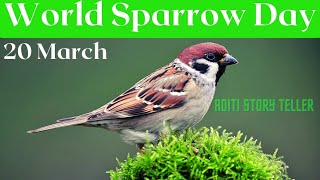 World Sparrow Day | Celebrating World Sparrow Day  | Why do we celebrate World Sparrow Day