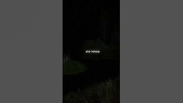 yef omit - T4Y4 (snippet, 2024)