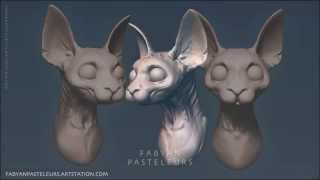 Sphynx Cat | 3D Sculpt | Turntable
