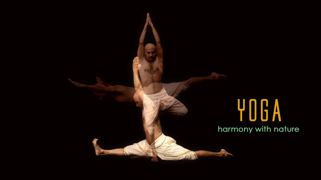 Yoga: Harmony with Nature - Chinese (Promo) - YouTube