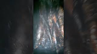 Всем скептикам посвящается! С этой  копчёной рыбой , ум отешь!)
