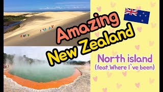 [뉴질랜드 워홀] 북섬 여행지!! 여행지 꿀팁! Travel spots in NZ / The place to go in North Island of NewZealand