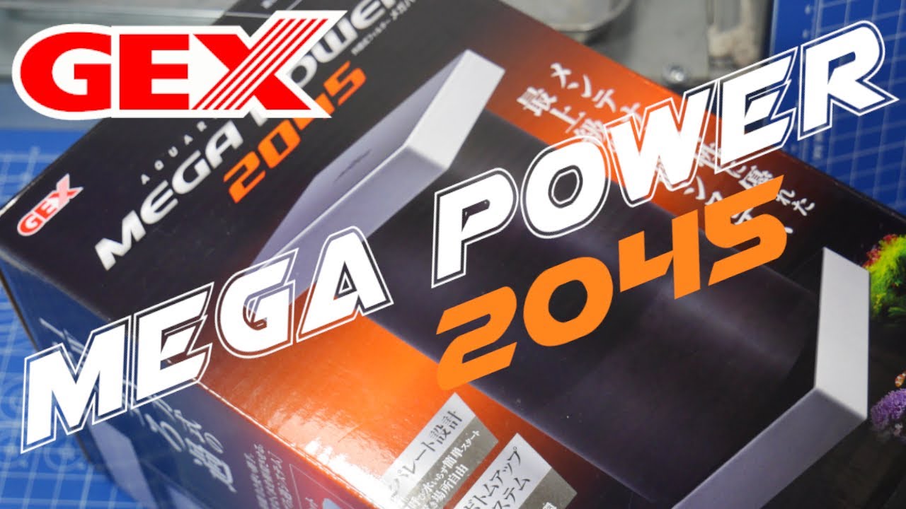 Gex Megapower 45 外部フィルターメガパワー45に換装 Youtube