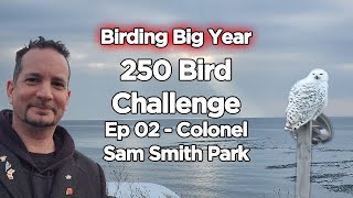 Birding Big Year 250 Bird Challenge 2023 Sam Smith Ontario Ep 2